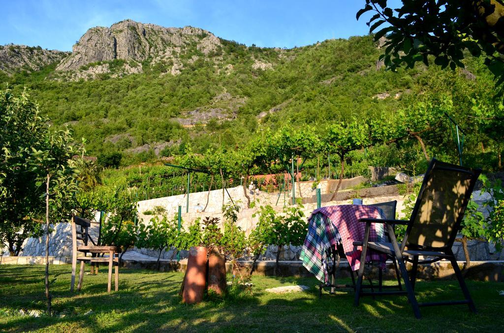 Country House Djurisic เวียร์ปาซาร์ ภายนอก รูปภาพ