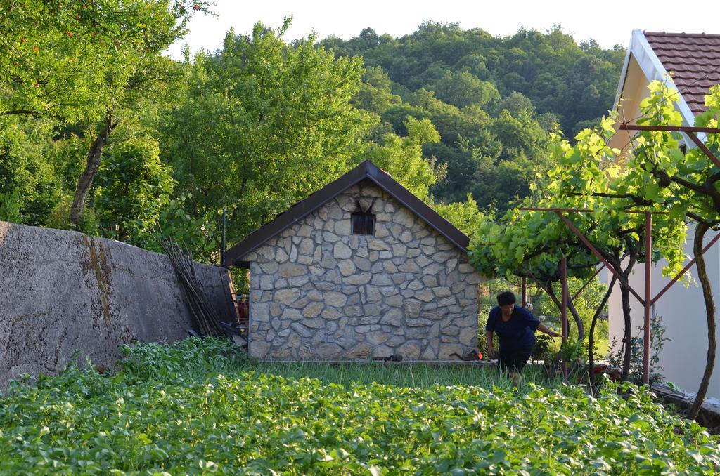 Country House Djurisic เวียร์ปาซาร์ ภายนอก รูปภาพ